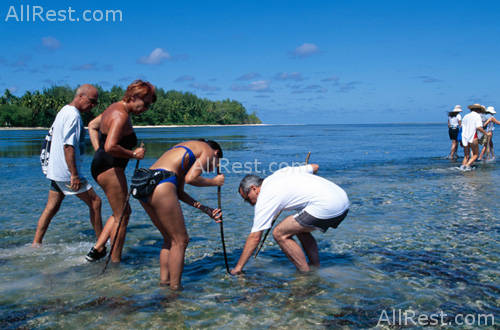 Alphonse Island Resort Deluxe 11